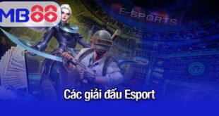 các giải đấu Esports