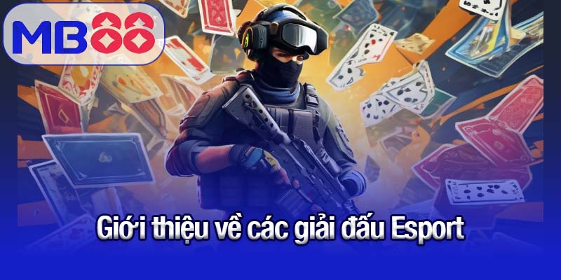 Giới thiệu về các giải đấu Esport