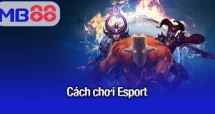 cách chơi Esport