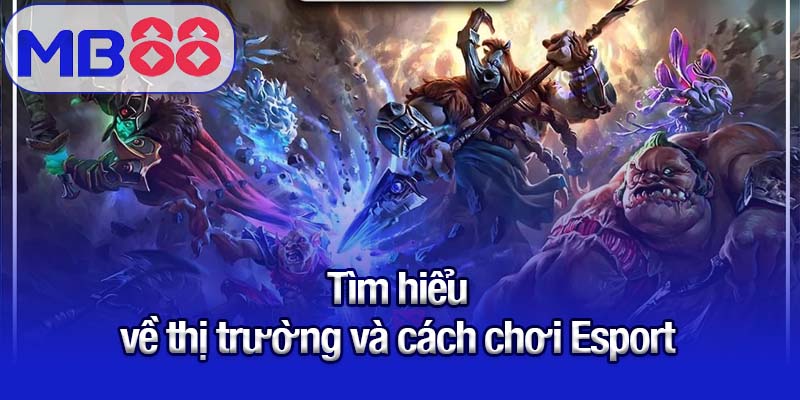 Cách chơi Esport thông minh cho mọi thành viên MB88 1 Tìm hiểu về thị trường và cách chơi Esport