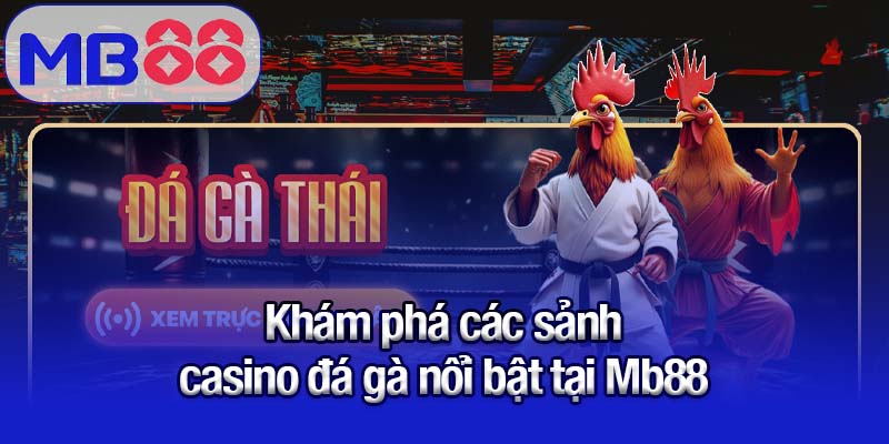 Khám phá thế giới casino đá gà sống động tại MB88