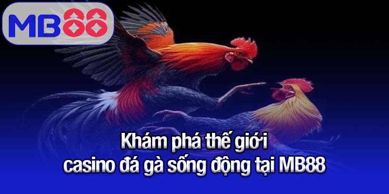 Khám phá các sảnh casino đá gà nổi bật tại Mb88