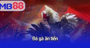đá gà ăn tiền