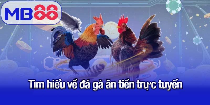 Đá gà ăn tiền tại MB88 - Bí quyết cá cược luôn thắng cho tân thủ 1 Tìm hiểu về đá gà ăn tiền trực tuyến