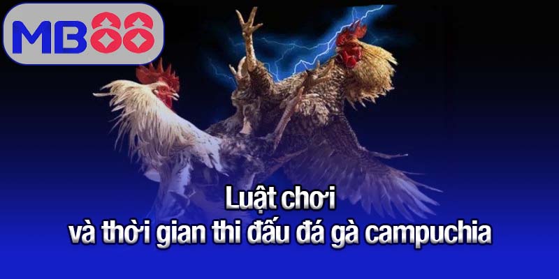 Luật chơi và thời gian thi đấu đá gà campuchia