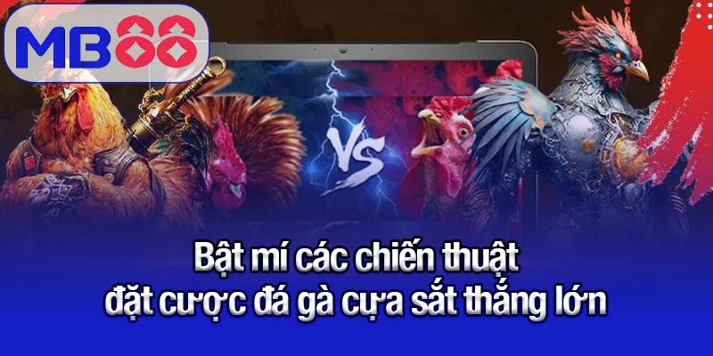 Đá gà cựa sắt Mb88 - Niềm vui bất tận của tín đồ cá cược 3 Bật mí các chiến thuật đặt cược đá gà cựa sắt thắng lớn