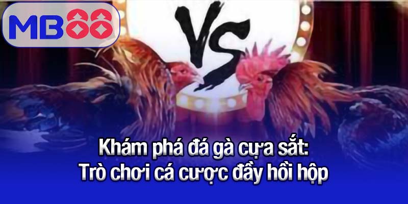 Đá gà cựa sắt Mb88 - Niềm vui bất tận của tín đồ cá cược 1 Khám phá đá gà cựa sắt - Trò chơi cá cược đầy hồi hộp