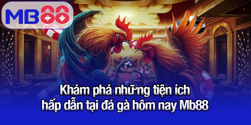 Khám phá những tiện ích hấp dẫn tại đá gà hôm nay Mb88