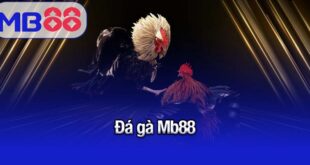 đá gà Mb88