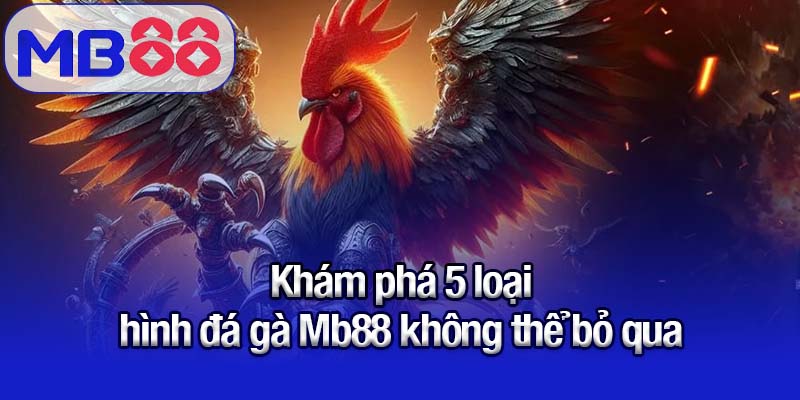 Khám phá 5 loại hình đá gà Mb88 không thể bỏ qua