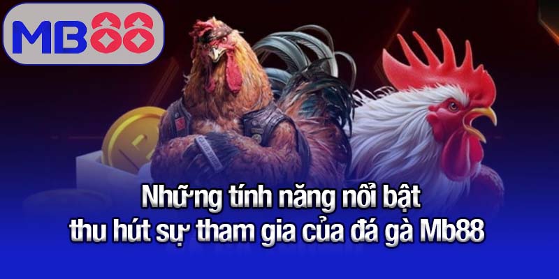 Những tính năng nổi bật thu hút sự tham gia của đá gà Mb88 