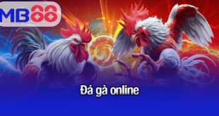 đá gà online