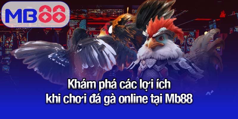 Khám phá các lợi ích khi chơi đá gà online tại Mb88