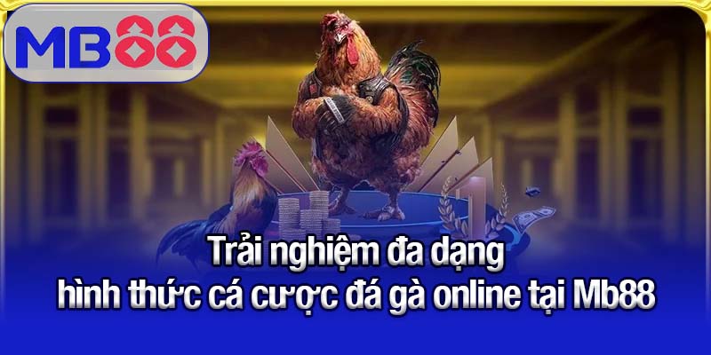 Trải nghiệm đa dạng hình thức cá cược đá gà online tại Mb88