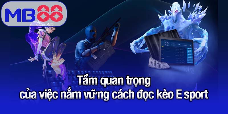 Tầm quan trọng của việc nắm vững cách đọc kèo E sport