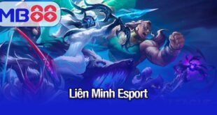 Liên Minh Esport