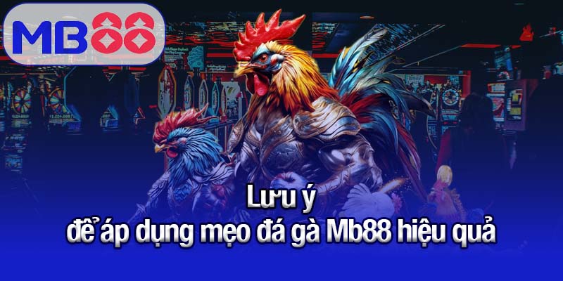 Mẹo đá gà MB88 - Tăng khả năng dự đoán chuẩn xác 3 Lưu ý để áp dụng mẹo đá gà Mb88 hiệu quả