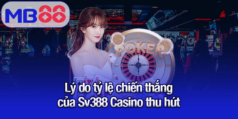Lý do tỷ lệ chiến thắng của Sv388 Casino thu hút
