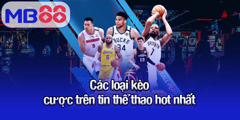Các loại kèo cược trên tin thể thao hot nhất