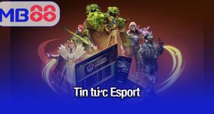 tin tức Esport