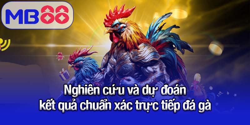 Nghiên cứu và dự đoán kết quả chuẩn xác trực tiếp đá gà