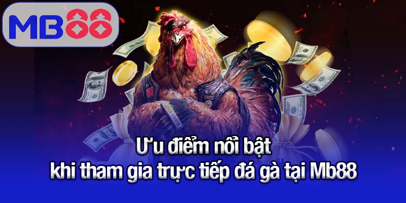 Ưu điểm nổi bật khi tham gia trực tiếp đá gà tại Mb88